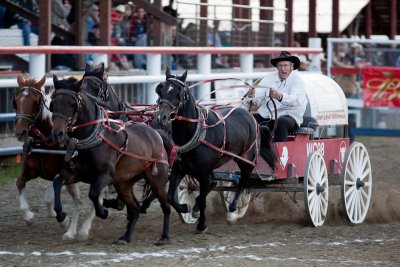 Chuckwagon racing