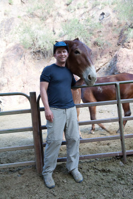 Visiting our mules