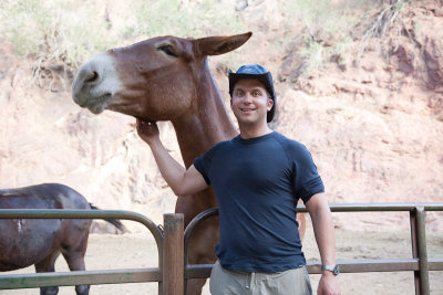 Visiting our mules