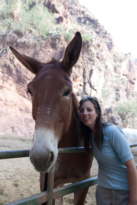 Grand_Canyon-7595.jpg