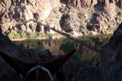 On the way up