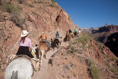 On the way up