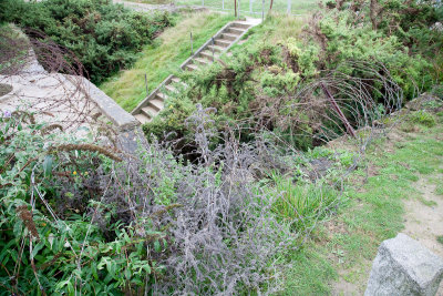 Normandy-0178.jpg