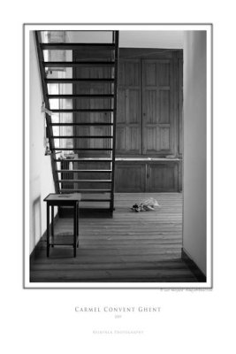 carmel 2164 bw.jpg