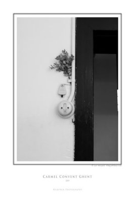 carmel 2239 bw.jpg