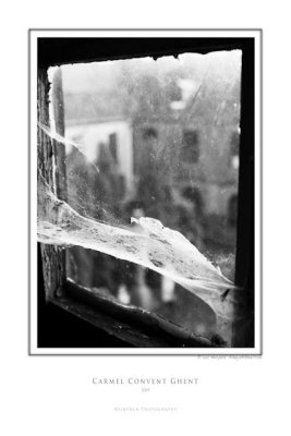 carmel 2329 bw.jpg