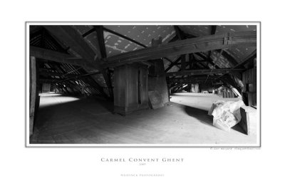 carmel 2333 bw.jpg