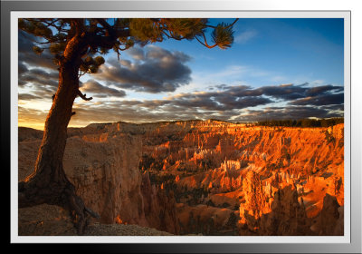 The Wave  Bryce Canyon 298.jpg