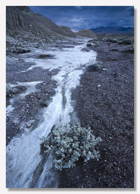 Death Valley 2008