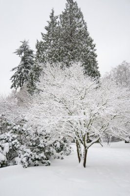 DSC_6244.jpg