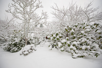 DSC_6247.jpg
