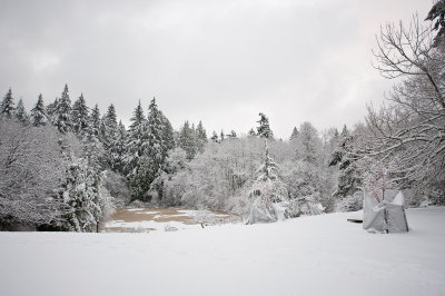 DSC_6248.jpg