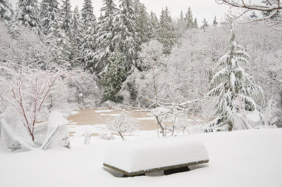 DSC_6256.jpg
