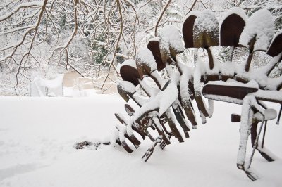 DSC_6261.jpg