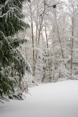 DSC_6264.jpg