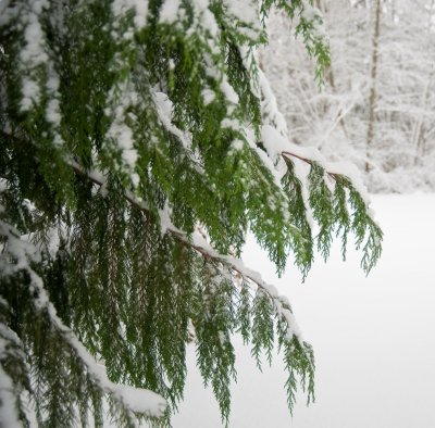 DSC_6267.jpg