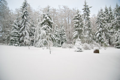 DSC_6270.jpg