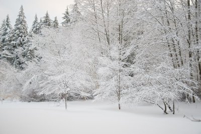 DSC_6276.jpg