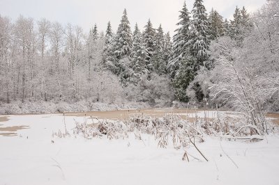 DSC_6286.jpg