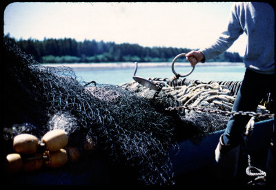 1972 Fishing 009.jpg