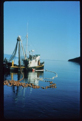 1974 Fishing 039.jpg