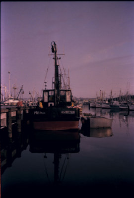 Fishing 1982