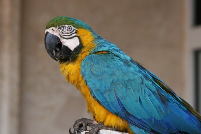 IMG_8619.JPG