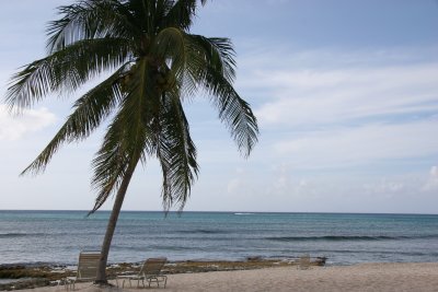 IMG_8685.JPG