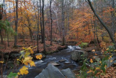 Fall Colors 10-29-08 034.JPG