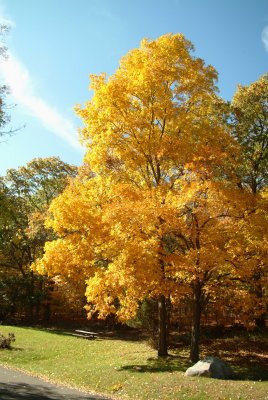 10_18_08 NH 112a.jpg