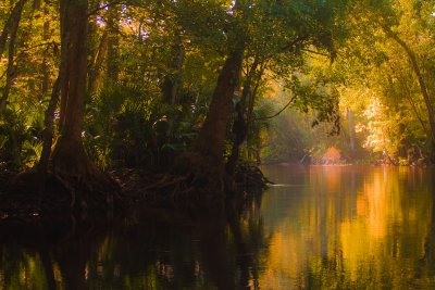 Oklawaha River, Florida
