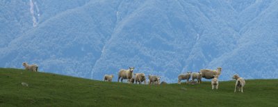 DSC_0252.jpg