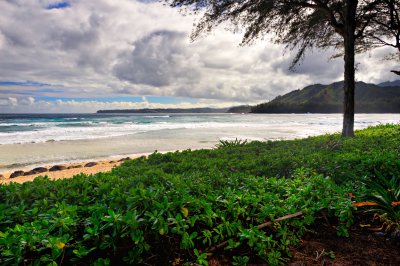 DSC_1195_7_6_tonemapped.jpg