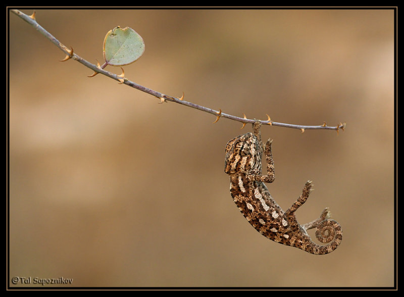 Picture 22472-Edit.jpg