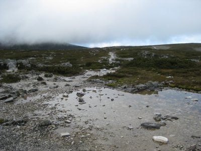 IMG_0568.jpg