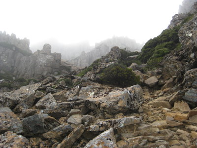 IMG_0574.jpg