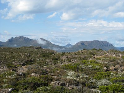 IMG_0682.jpg