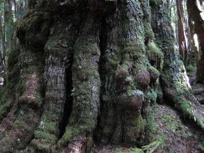 IMG_0778.jpg