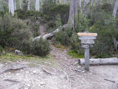 Back on the Overland Track