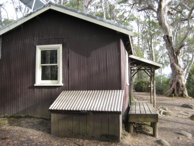 Narcissus Hut