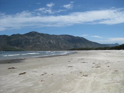 Cox Bight looking west
