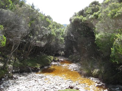 Point Eric water supply creek