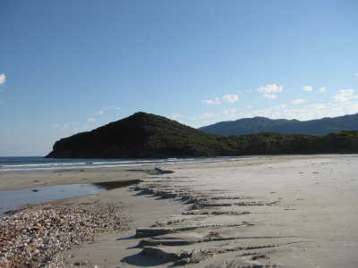 IMG_0919.JPG