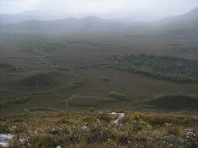IMG_0974.JPG