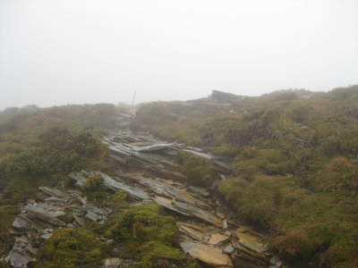 Heading into the cloud