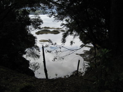 A first view out of the trees
