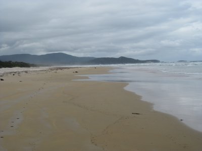 Prion Beach looking east