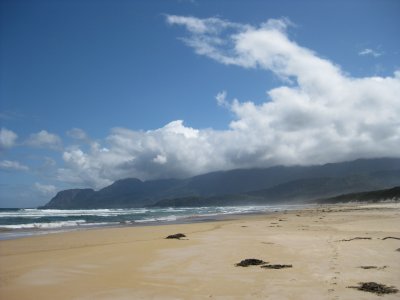 Prion Beach looking west