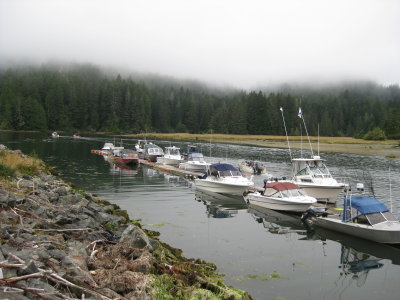 Boats on the Gordon River