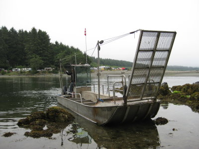 Gordon River Ferry